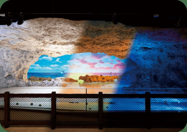 DMMかりゆし水族館の写真